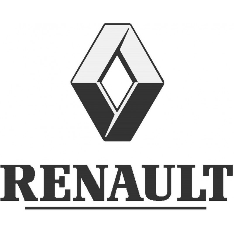 Peinture à l'eau Renault en pot prête à l'emploi