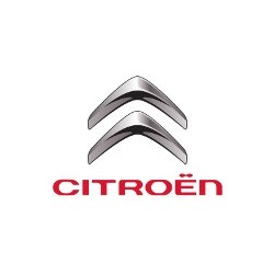 Peinture Citroen solvantée à vernir 1 litre