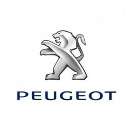 Peinture Peugeot base mat à vernir 250ml