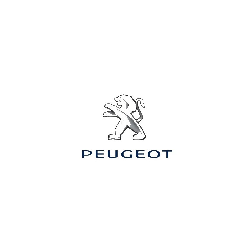 Peinture PEUGEOT pot de 500 ml Peinture PEUGEOT pot de 500 ml