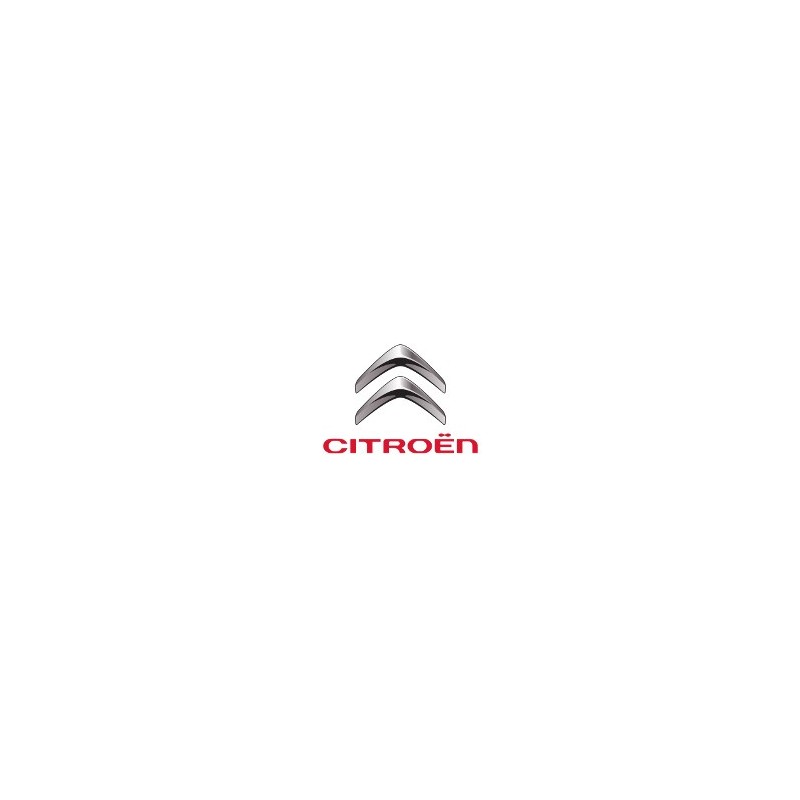 Peinture CITROEN pot de 500 ml Peinture CITROEN pot de 500 ml