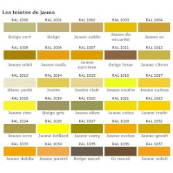Peinture  en bombe teintes RAL, brillante satinée ou mate