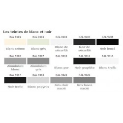 Peinture  en bombe teintes RAL, brillante satinée ou mate