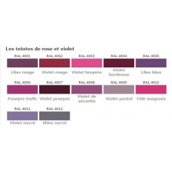 Peinture brillante en bombe teintes RAL