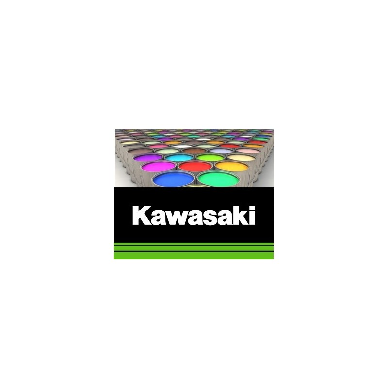 Peinture moto Kawazaki solvantée 250 ml Peinture moto Kawazaki solvantée 250 ml