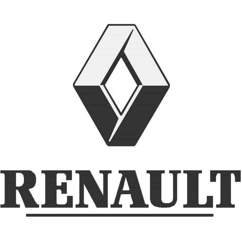 Peinture auto Renault base mat à vernir 250ml Peinture auto Renault base mat à vernir 250ml