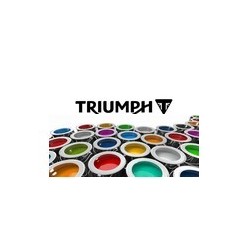 Peinture pour TRIUMPH pot de 250 ml