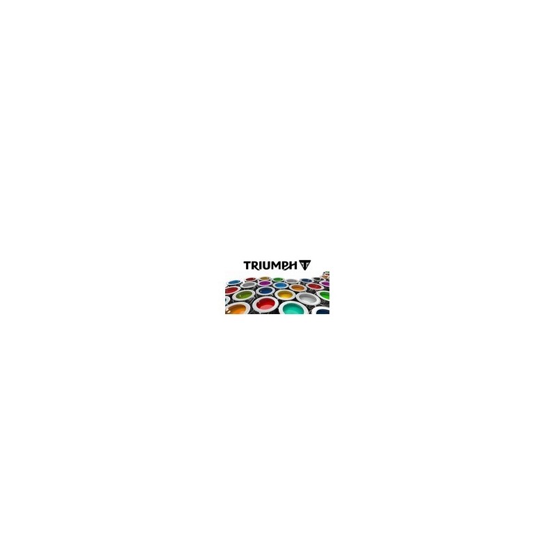 Peinture pour TRIUMPH pot de 250 ml Peinture pour TRIUMPH pot de 250 ml