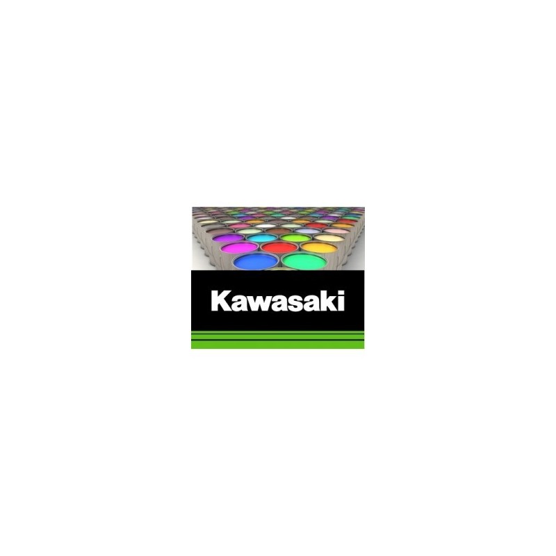 Peinture moto KawaSaki solvantée 500 ml Peinture moto KawaSaki solvantée 500 ml