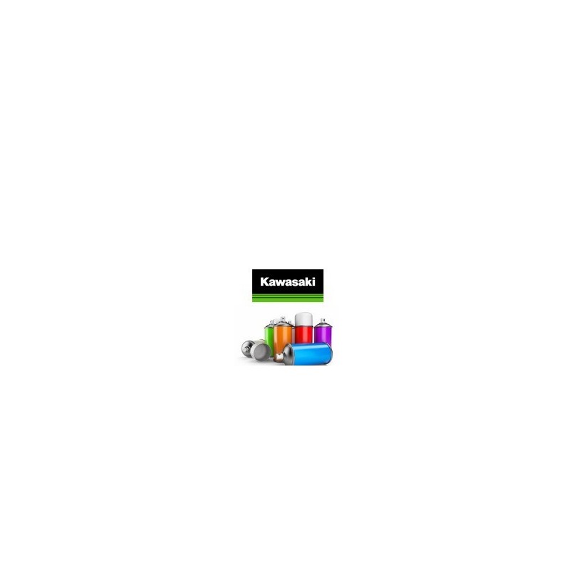 Pack peinture et vernis en bombe pour Kawasaki Pack peinture et vernis en bombe pour Kawasaki
