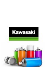 Peinture Kawasaki En Pot De 150ml Peinturemotofr