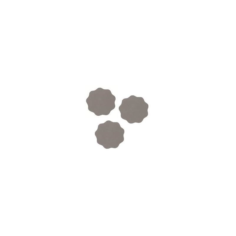 10 Disques abrasif fin -Marguerites grain : 2000 10 Disques abrasif fin -Marguerites grain : 2000