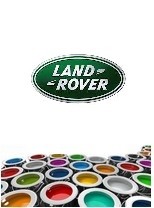 Peinture LAND -RANGE -ROVER pot de 250 ml