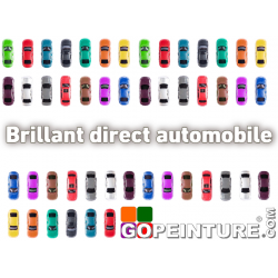 Peinture brillant direct automobile- gopeinture.com