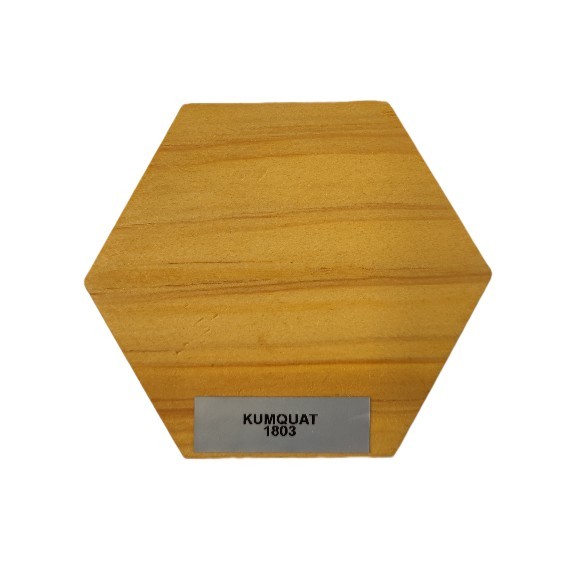 Huile de protection teintée pour bois