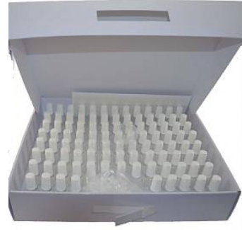 Flacon pinceau plastique vide 20 ml