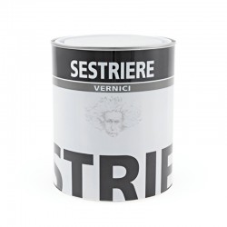 Bidon de durcisseur aliphatique pur MS, GOPEINTURE