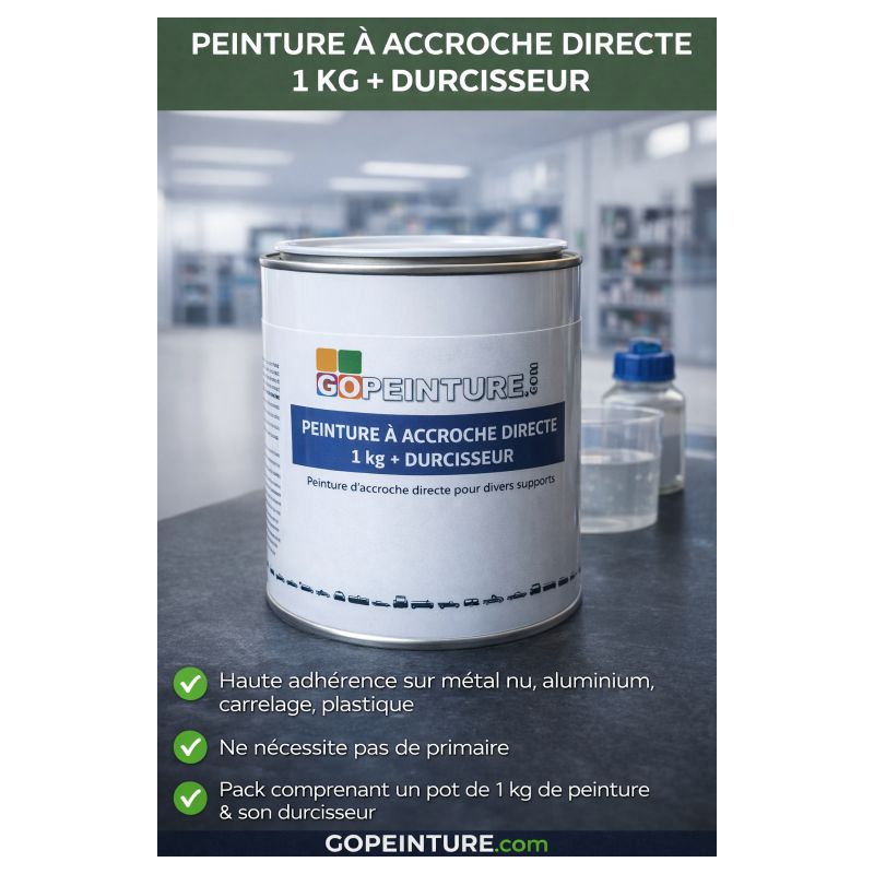 Peinture à Accroche Directe 1 kg + Durcisseur – Haute adhérence multi-supports .GOPEINTURE 