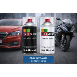 Pack peinture auto-moto + vernis en spray