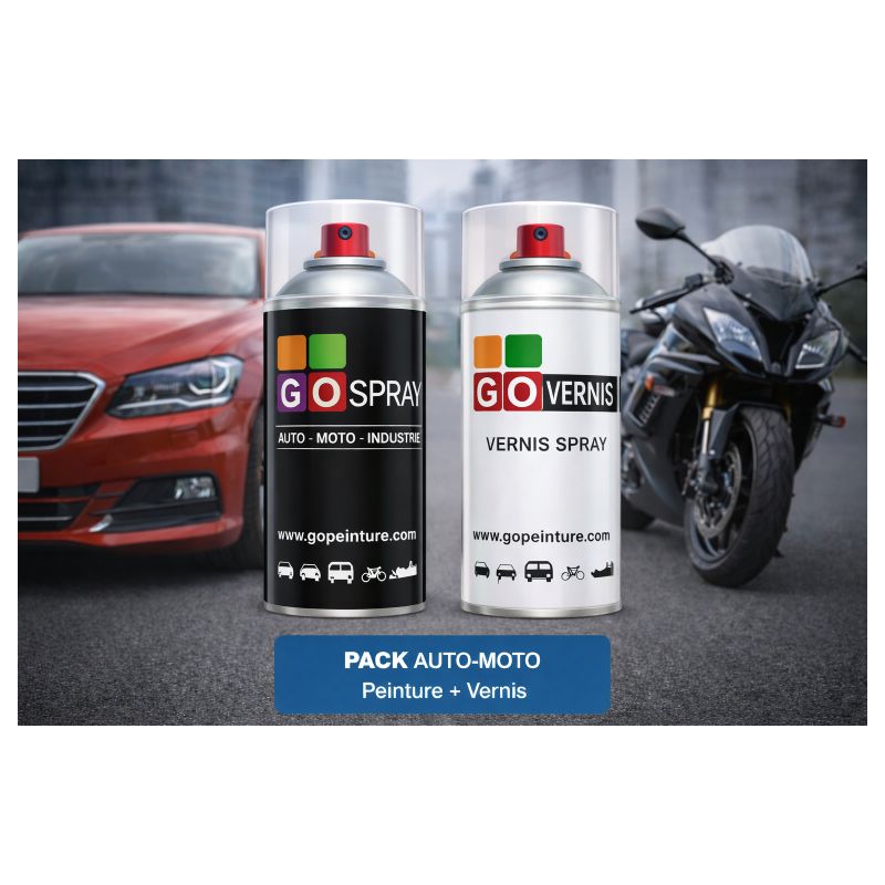 Pack peinture auto-moto + vernis en spray