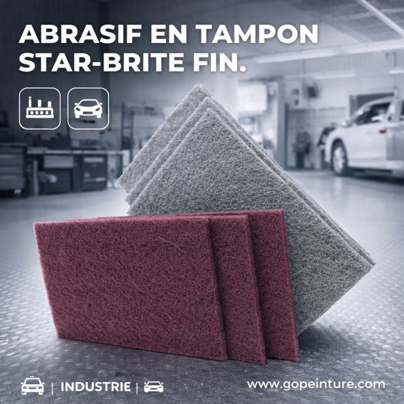 Abrasif en tampon Star-Brite fin (unité)