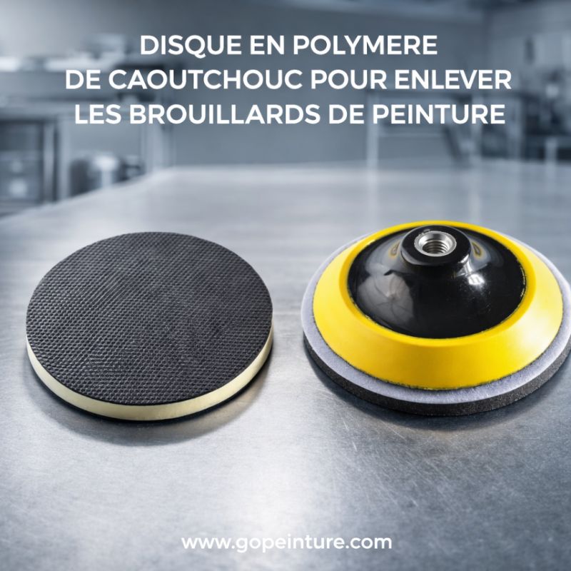 Disque pour brouillard de peinture