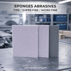 Eponge abrasive (Boite de 48)