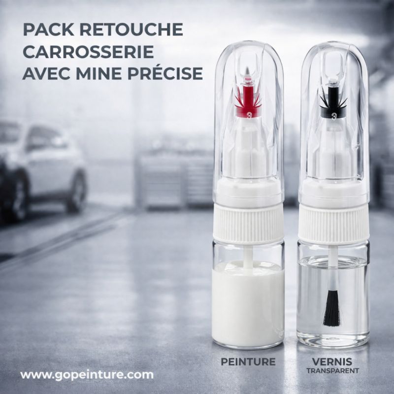 Pack retouche peinture + vernis auto-moto