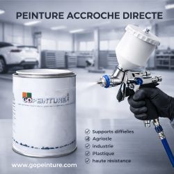 Peinture à accroche directe 1 kg