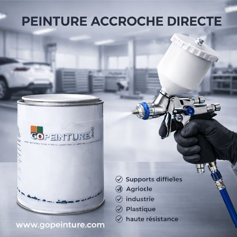 Peinture à accroche directe 1 kg