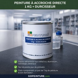 Peinture à Accroche Directe 1 kg + Durcisseur – Haute adhérence multi-supports GOPEINTURE