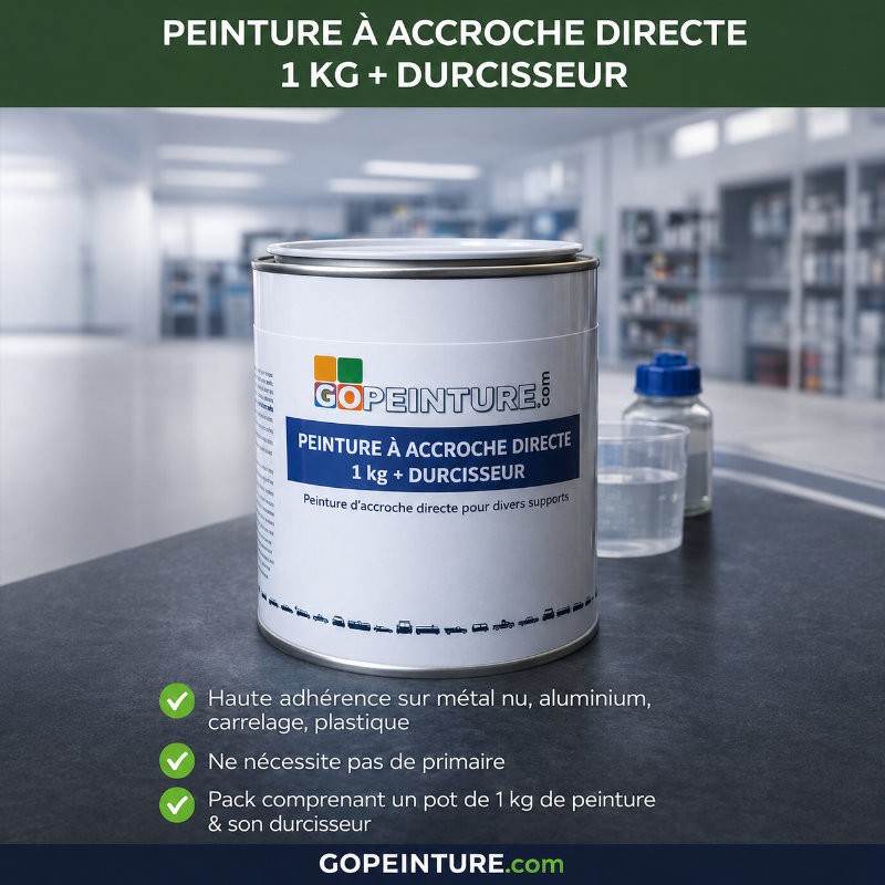Peinture à Accroche Directe 1 kg + Durcisseur – Haute adhérence multi-supports GOPEINTURE