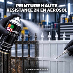 Peinture haute resistance GOPEINTURE en bombe aérosol 2k